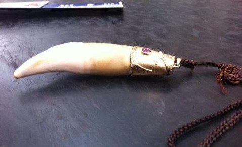 云南昆明長水機(jī)場X光機(jī)大顯神威嗅出老虎牙齒[圖]