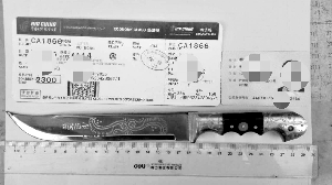 安檢門(mén)火眼金睛 旅客攜匕首過(guò)登機(jī)被拘五天[圖]