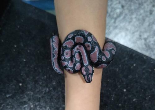 金屬探測(cè)門(mén)廠(chǎng)家：白云機(jī)場(chǎng)安檢驚現(xiàn)“小蛇”！